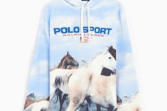 polo-ralph-lauren-horse-print-mens-hoodie-710880601001-0